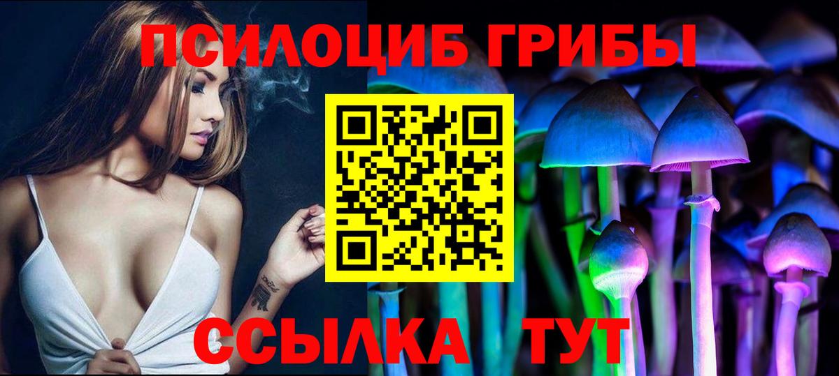 Псилоцибиновые грибы Psilocybe Казань