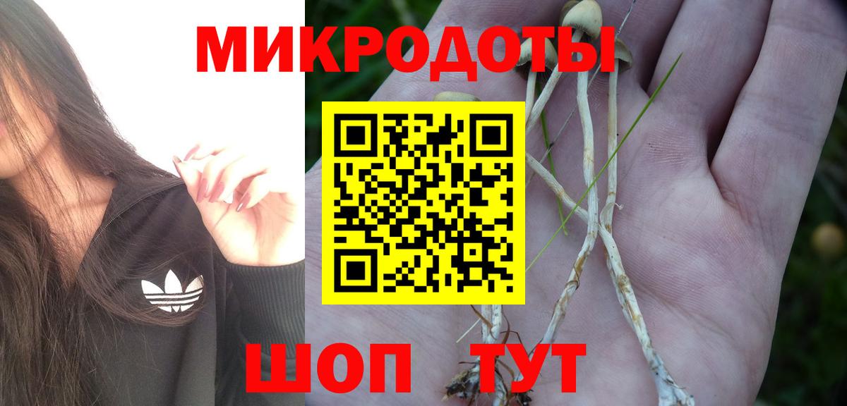 Казань  Псилоцибиновые грибы ЛСД  Вход с VPN 